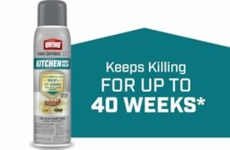 Ortho Home Defense Insect Killer at Walmart