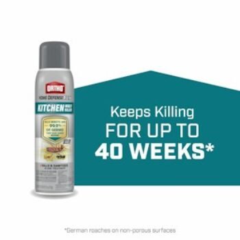 Ortho Home Defense Insect Killer at Walmart