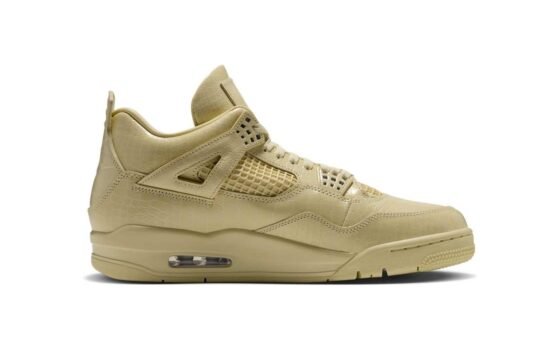 Air Jordan 4 x J Balvin Amazonas IW2872-700 side view