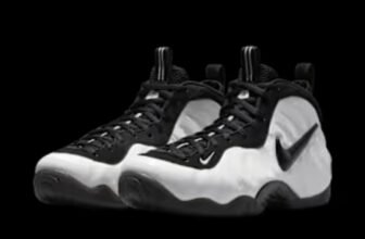 Nike Air Foamposite Pro Premium Summit White pair