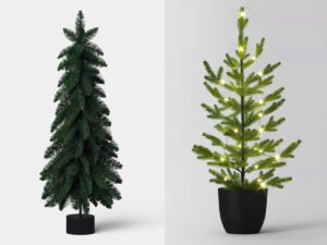 Target 3-foot Wondershop Christmas trees Alberta Spruce and potted Balsam Fir