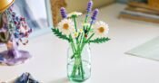 LEGO Botanicals Daisies 11508 — $9.89 at Walmart (Was $14.97)
